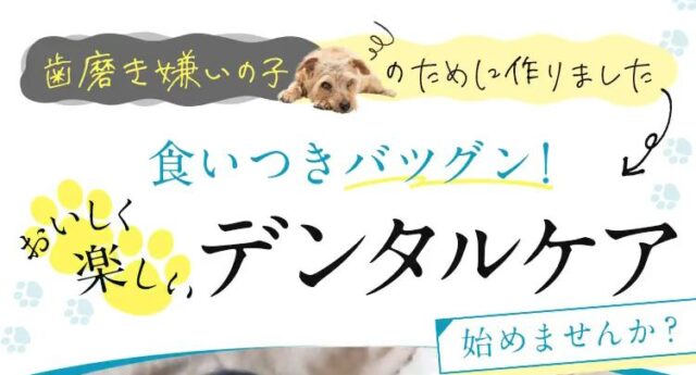 Breath Wan ブレスワン 特徴