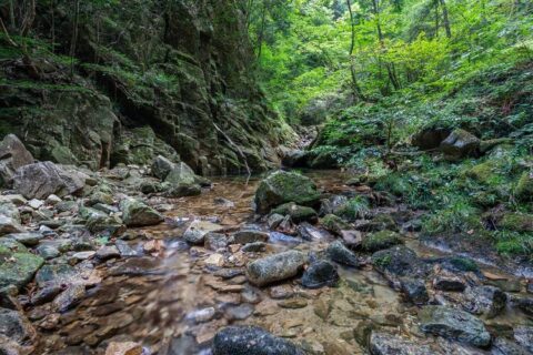 龍頭峡 天然水
