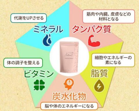 5大栄養素