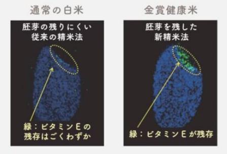 ヘルプキープ製法
