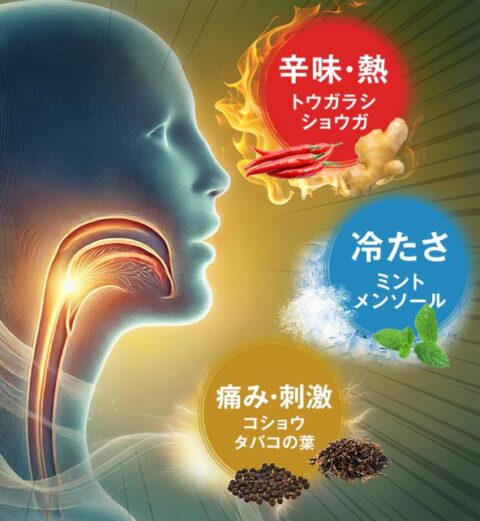 リッチブレンド