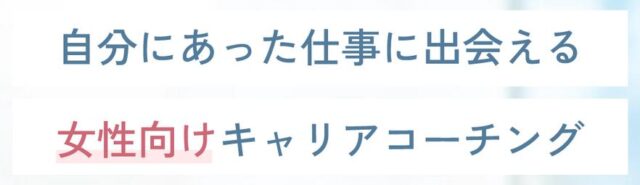 LadyCarry ラディキャリ 特徴