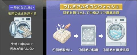 プレミアムダウンウォッシュ工程