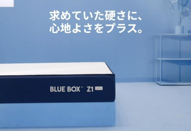 BLUEBOX ブルーボックス Z1コイシマットレス 特徴